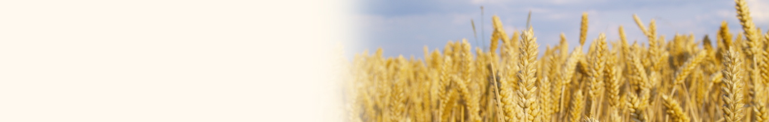 header04